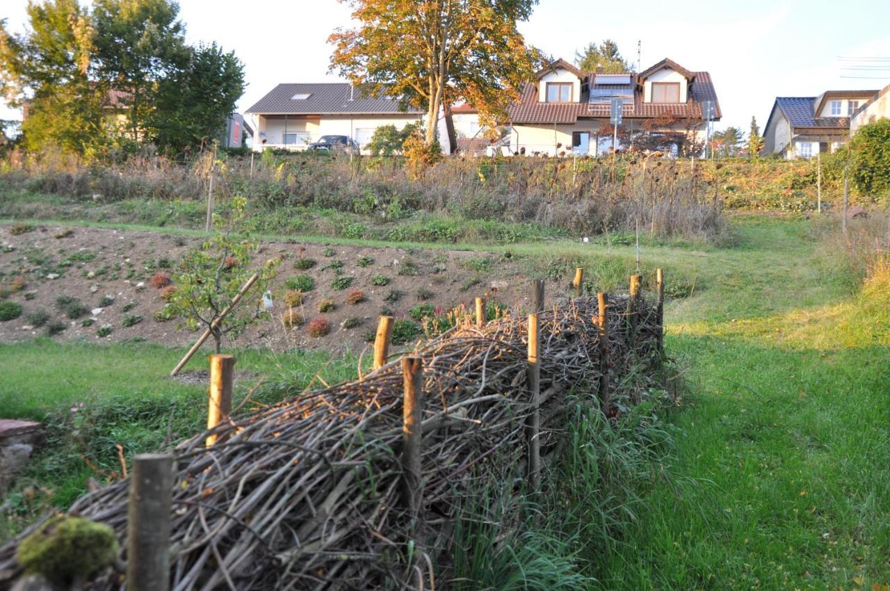 Ferienwohnung Altes Pfarrhaus Bargen エクステリア 写真