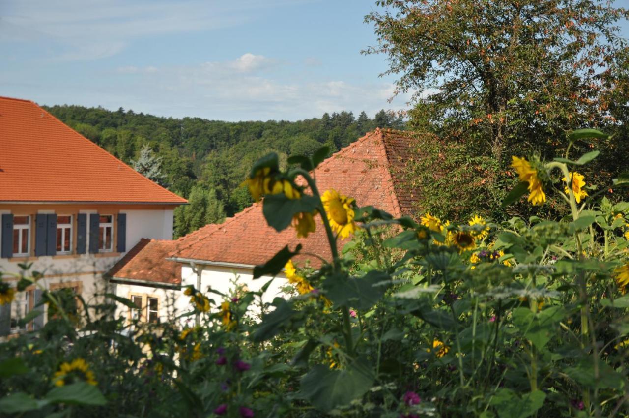 Ferienwohnung Altes Pfarrhaus Bargen エクステリア 写真
